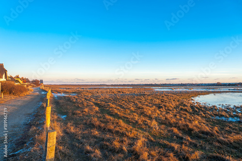 Winterliche Landschaft im Naturschutzgebiet Graswarder in Heiligenhafen