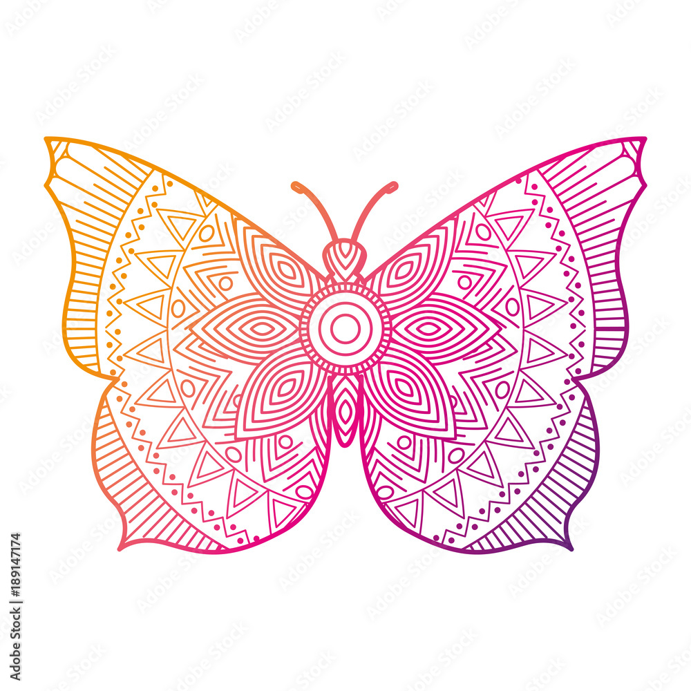 hand drawn for adult coloring pages with butterfly zentangle vector