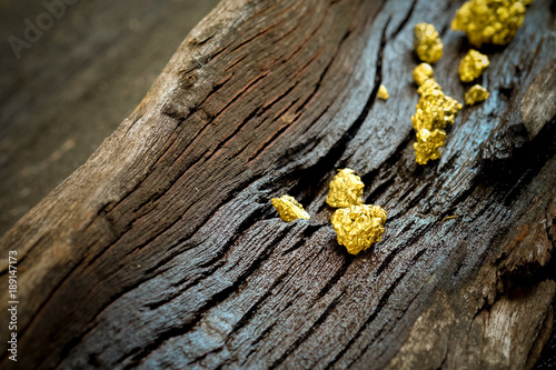 Pure gold ore on old wooden floor photo