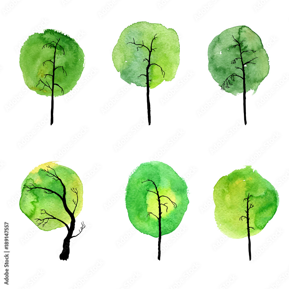Obraz vector set of deciduous trees