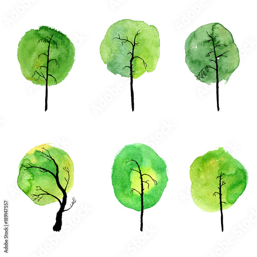 vector set of deciduous trees