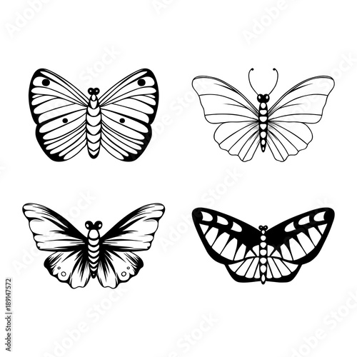 Butterfly silhouette collection. Set of hand-drawn elements.