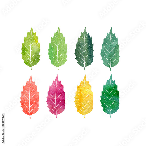 watercolor set of tree leaves