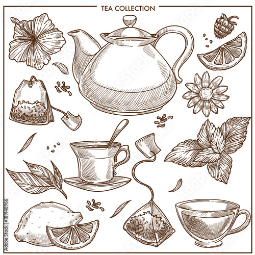 Tea collection vector sketch icons of cups, teapot and teabags or herbal flavorings