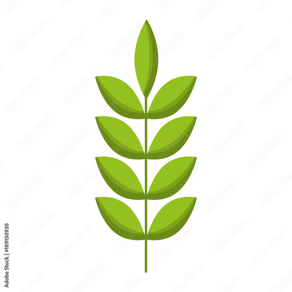 spring branch with green leaves natural vector illustration