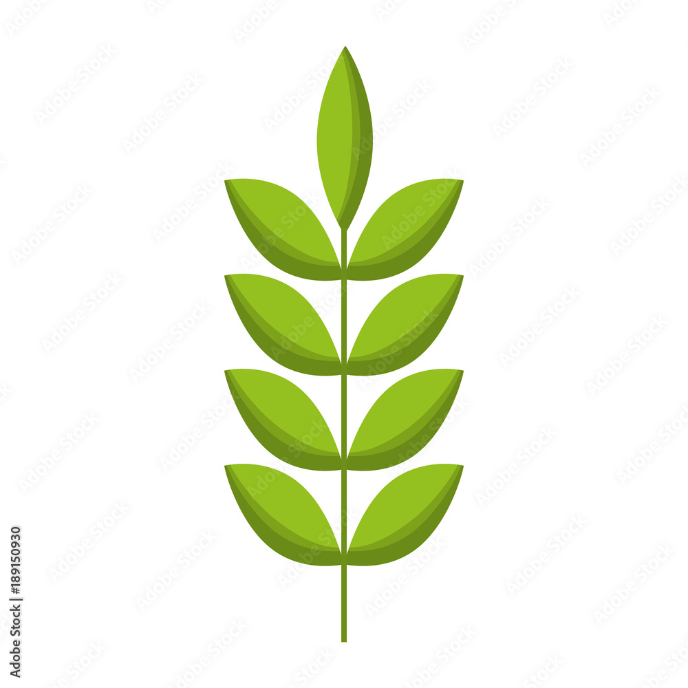 spring branch with green leaves natural vector illustration spring branch with green leaves natural vector illustration
