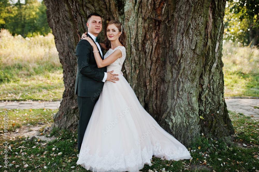 Attractive wedding couple hugging next to an old tree in the countryside.