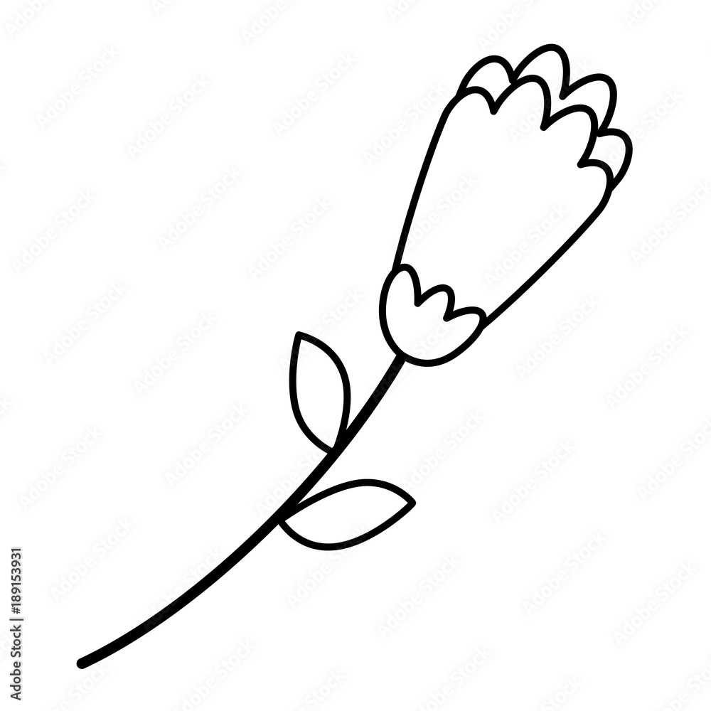 flower stem leaves nature petals decoration vector illustration outline image flower stem leaves nature petals decoration vector illustration outline image