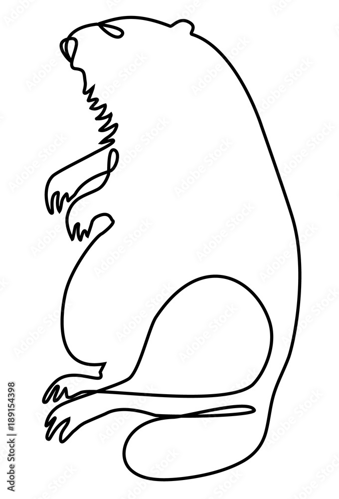 Abstract marmot one line drawing Abstract marmot one line drawing