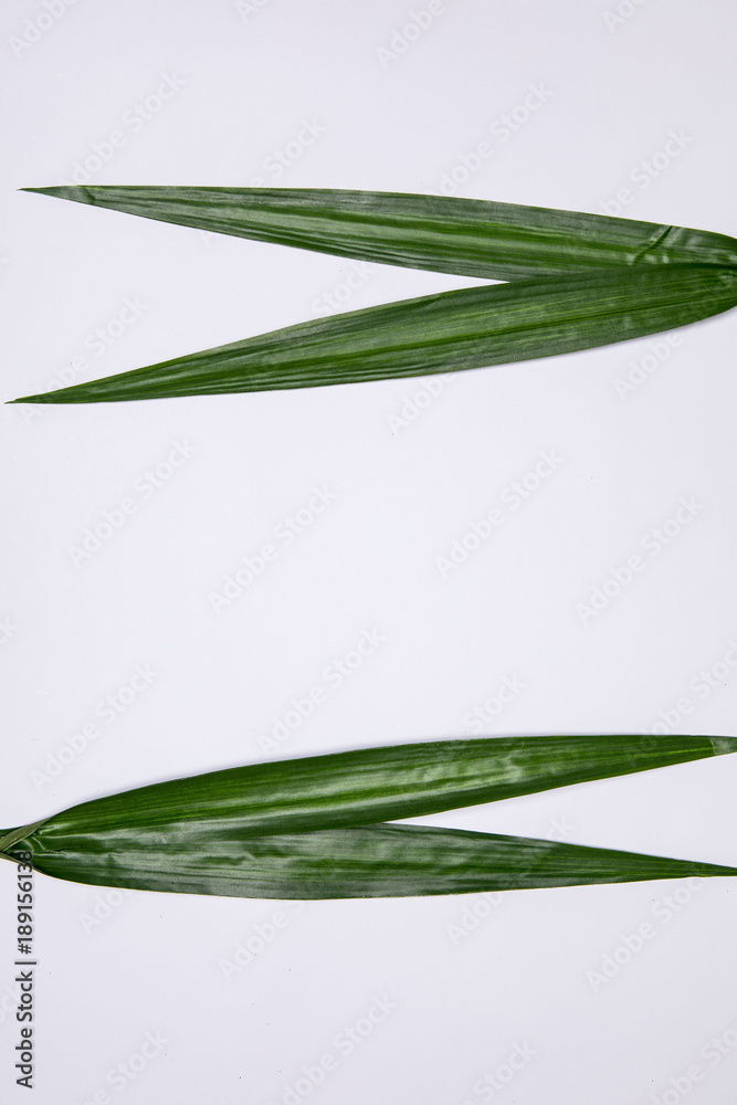 Stylish flowers decoration background Stylish flowers decoration background