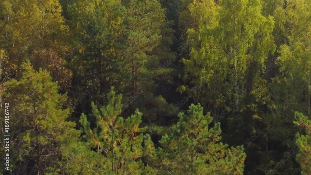Aerial View. Flying over the beautiful autumn trees in forest. Aerial camera shot. Autumn / Fall landscape. Aerial View. Flying over the beautiful autumn trees in forest. Aerial camera shot. Autumn / Fall landscape.