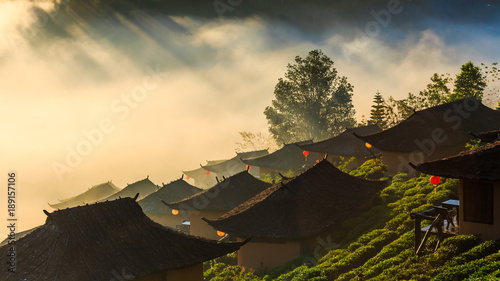 Ban Rak Thai, a Chinese settlement in tea field with fog in the morning, Mae Hong Son, Thailand