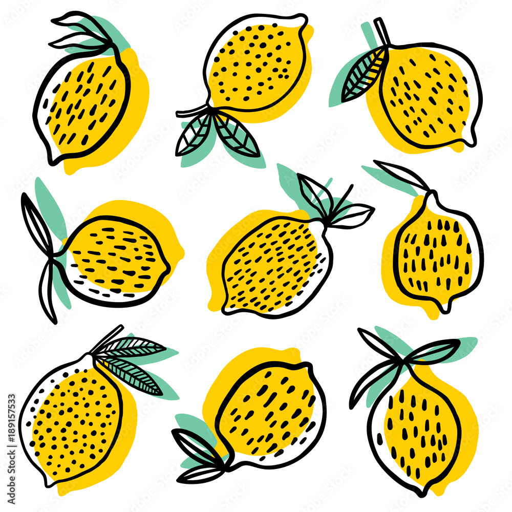 Lemon vector illustration Lemon vector illustration