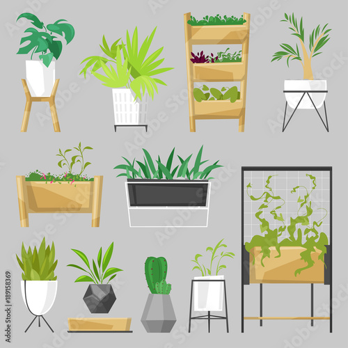 Plants in flowerpots vector potted houseplants indoor botanic cactuses aloe for house decoration with floral collection of botanical garden illustration isolated on white background
