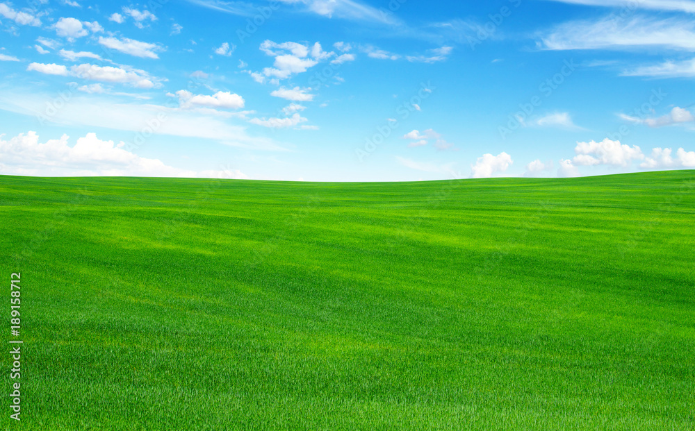 field and sky field and sky