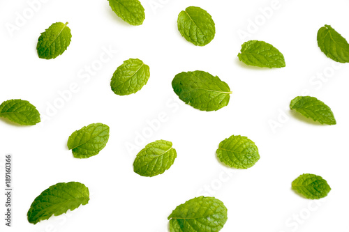 Mint leaves on white background,Herb cook © หอมกลิ่น กล้วยไม้