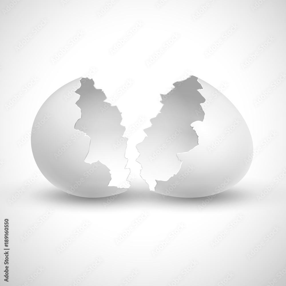 White opened easter with shell broken isolated vector illustration