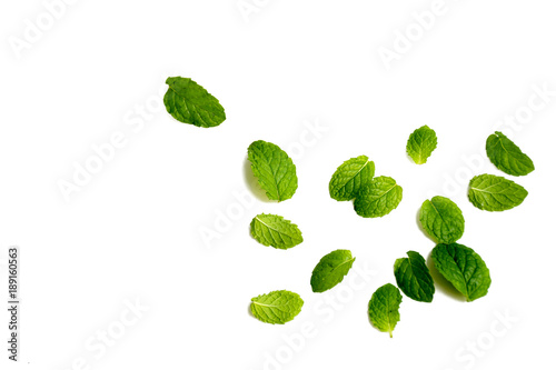 Mint leaves on white background,Herb cook
