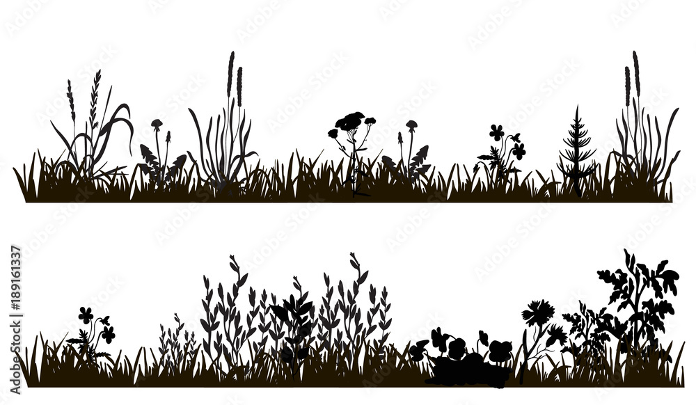 vector isolated silhouette of grass and plants, isolated on white background
