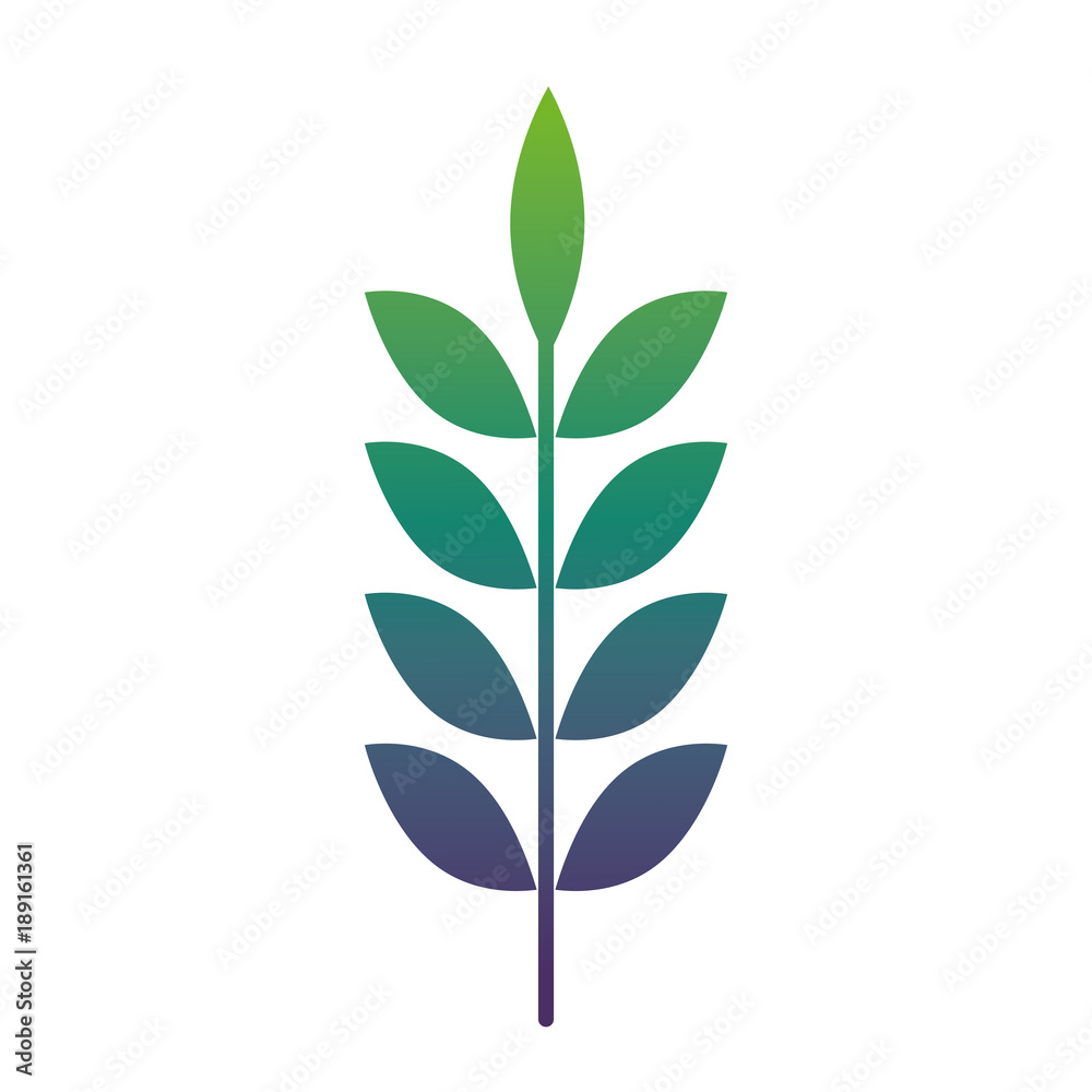 spring branch with green leaves natural vector illustration spring branch with green leaves natural vector illustration
