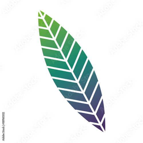 green leaf nature foliage botanical vector illustration © Gstudio