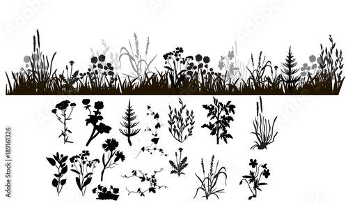  isolated silhouette of grass and plants, isolated on white background