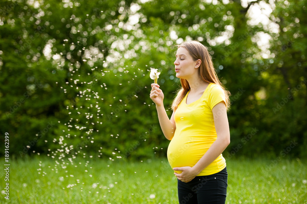 Fototapeta premium young pregnant woman blowing dandelion seeds on a meadow