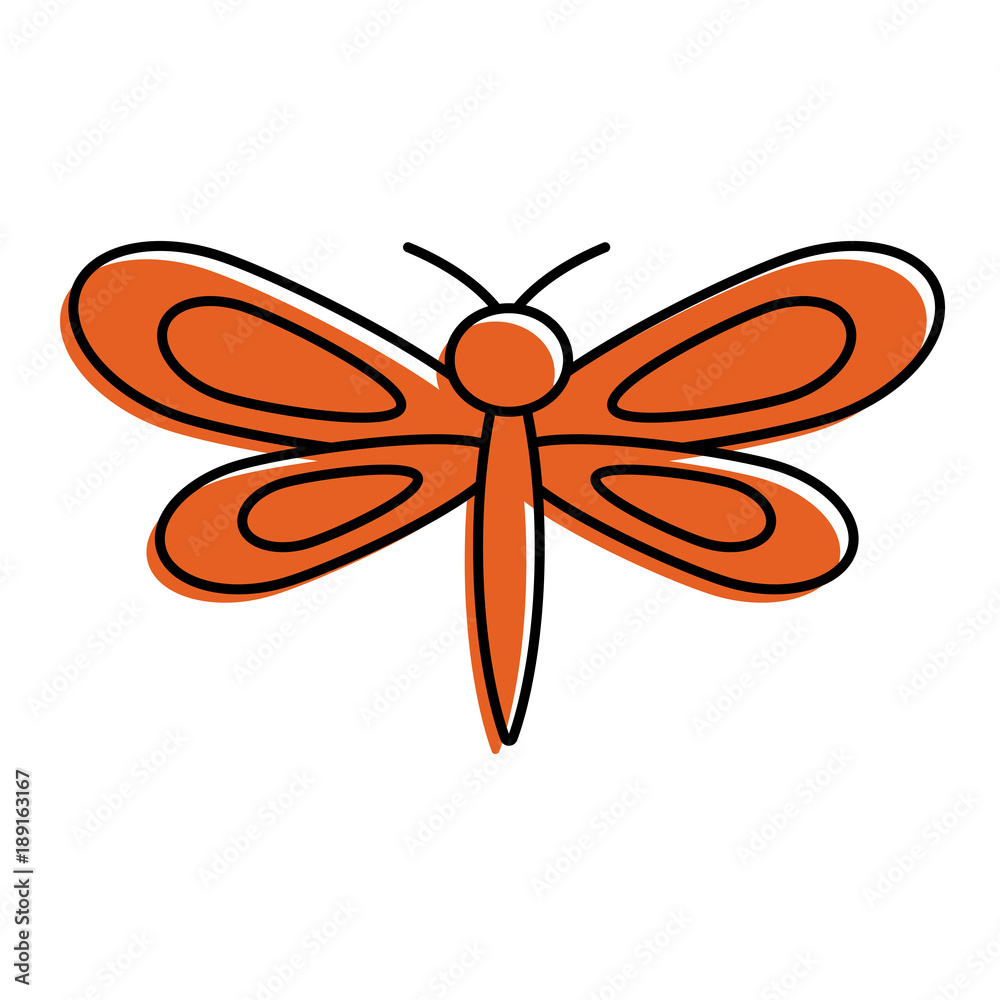 orange dragonfly insect spring season vector illustration orange dragonfly insect spring season vector illustration