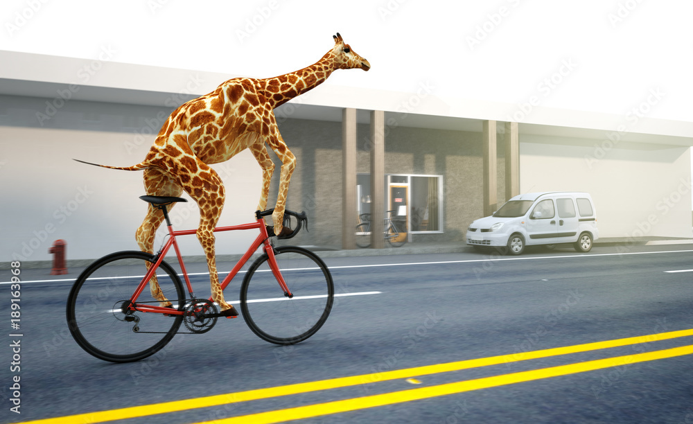 Fototapeta premium Żyrafa jeździ rowerem