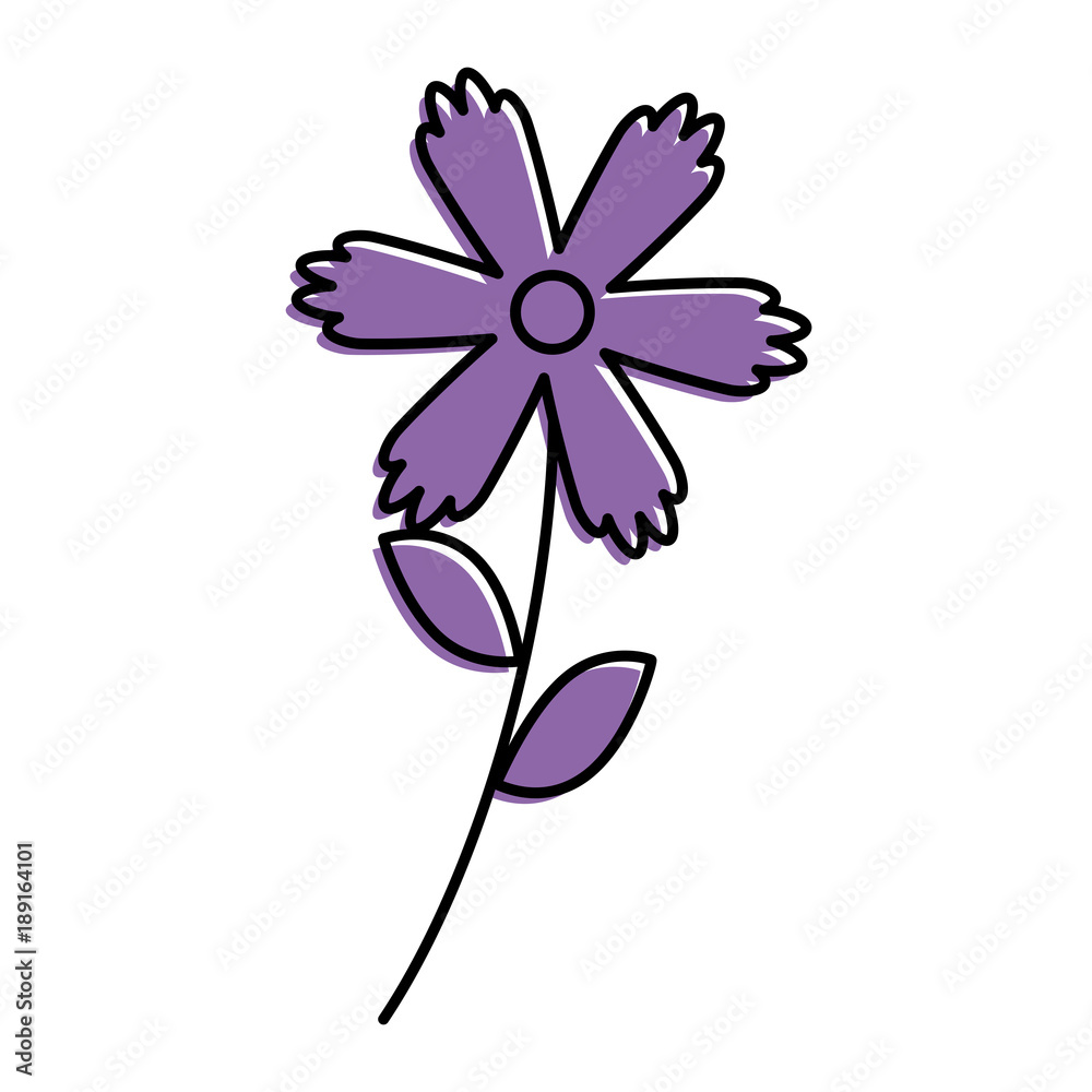 flower stem leaves nature petals decoration vector illustration