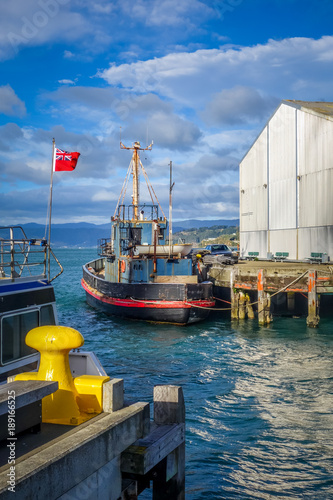 Wellington harbour docks, New Zealand