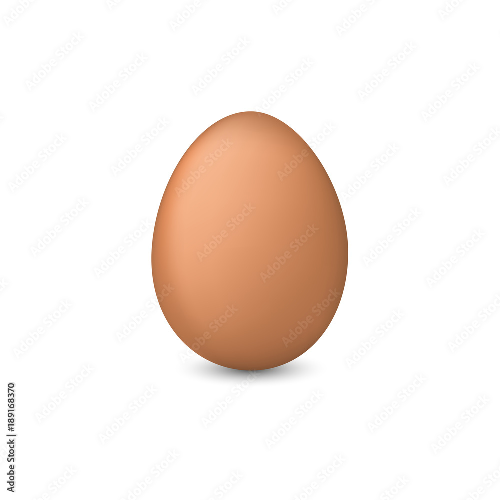 Chicken egg. Realistic vector illustration on a white background. Chicken egg. Realistic vector illustration on a white background.