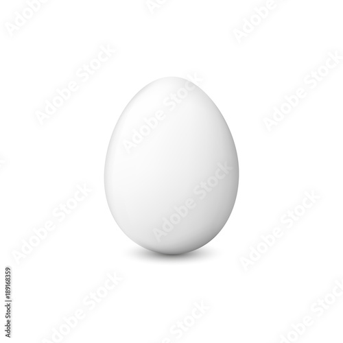 White chicken egg. Realistic vector illustration isolated on a white background.