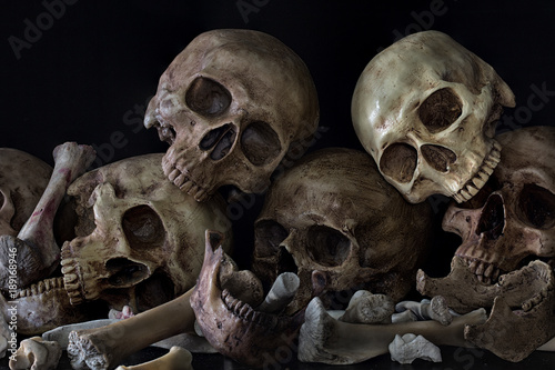 Pile of skulls and bones on black background photo