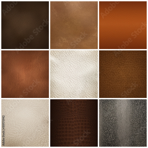  Leather Texture Samples Realistic Set 