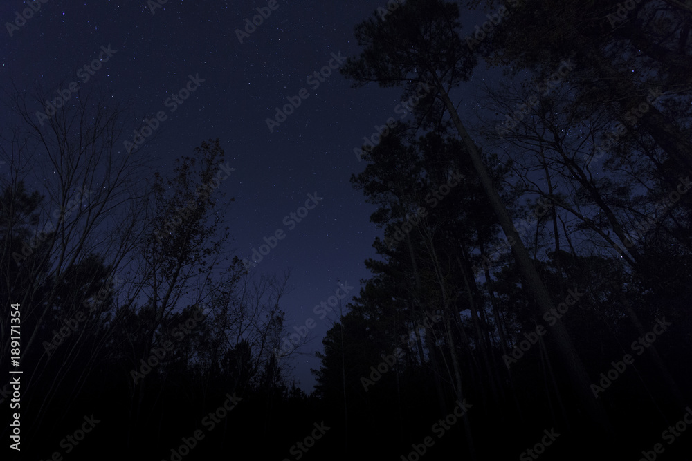 North Carolina night sky