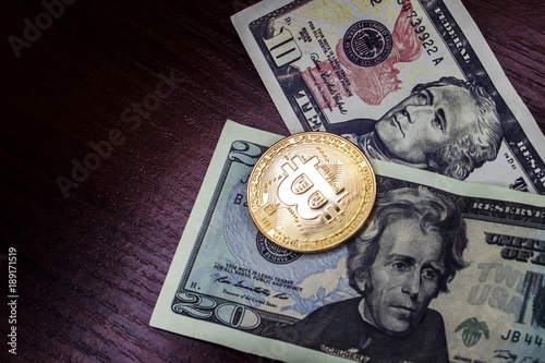 Large gold coin bitcoin and dollars photo