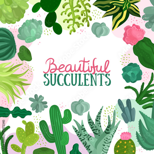 Succulents Frame Illustration 