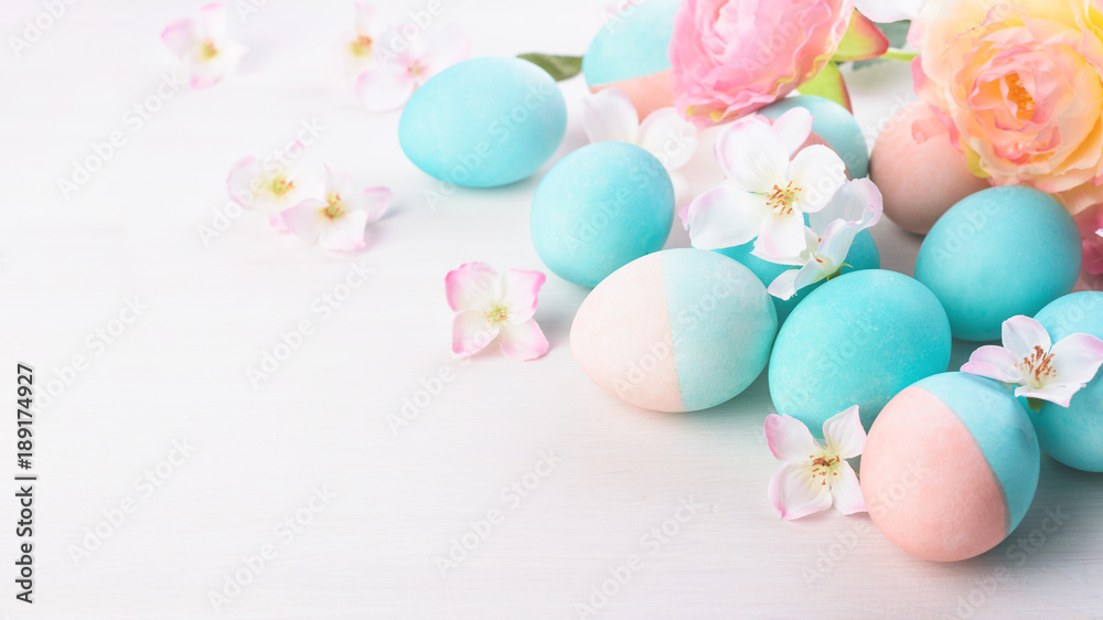 Easter and flowers background, spring concept. Blue and pink chicken eggs on white wooden table, pastel colors