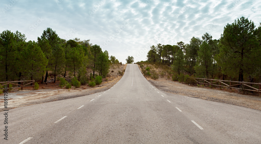 Fototapeta premium Lonely road with a blue sky