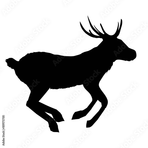 decoration, elegance, horned, object, shadow, buck, doe, big, vintage, cervus, cute, dappled, engraving, graceful, hoofed, mature, muzzle, powerful