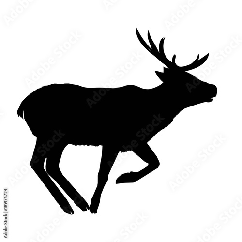 decoration, elegance, horned, object, shadow, buck, doe, big, vintage, cervus, cute, dappled, engraving, graceful, hoofed, mature, muzzle, powerful