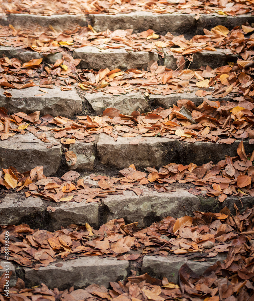 Autumnal leaves on stairs