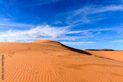 Blue Sky  Coral Pink Sand Dunes State Park in Utah  USA