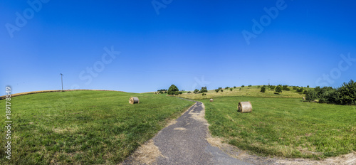 rural area with meadows and trees