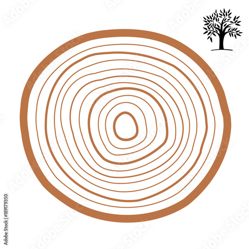 Cross-section of a tree abstract ring. Vector symbol isolated on white background.