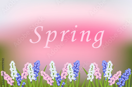 Spring vector blurred background with blooming flowers. Muscari multicolor, pink, white, blue.Branch of green leaves of grass, decorative frame.Greeting card with flower background