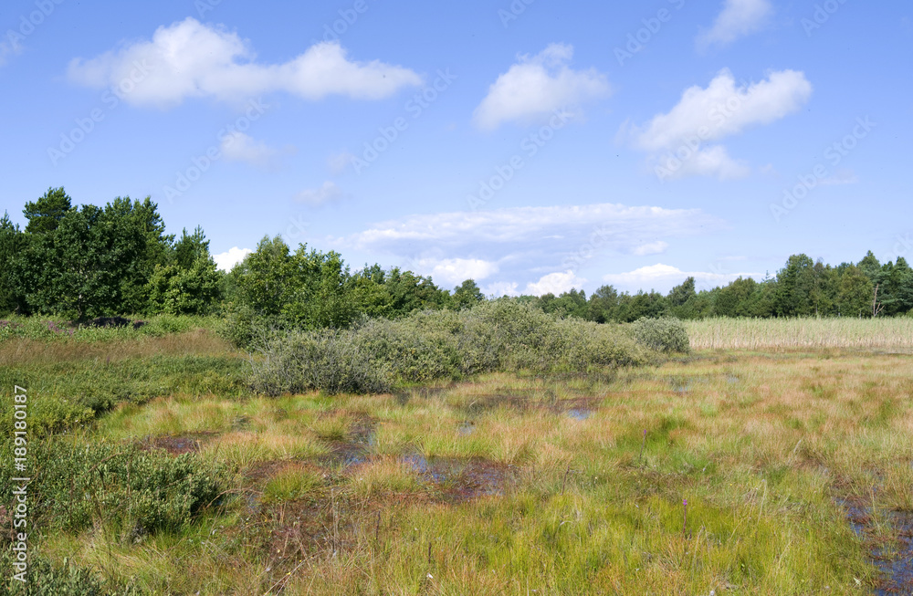 Laesoe / Denmark: View over Kaerene moorland with Birkemose moor lake Laesoe / Denmark: View over Kaerene moorland with Birkemose moor lake