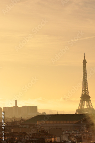 View of Paris seen from Rooftops at Sunset