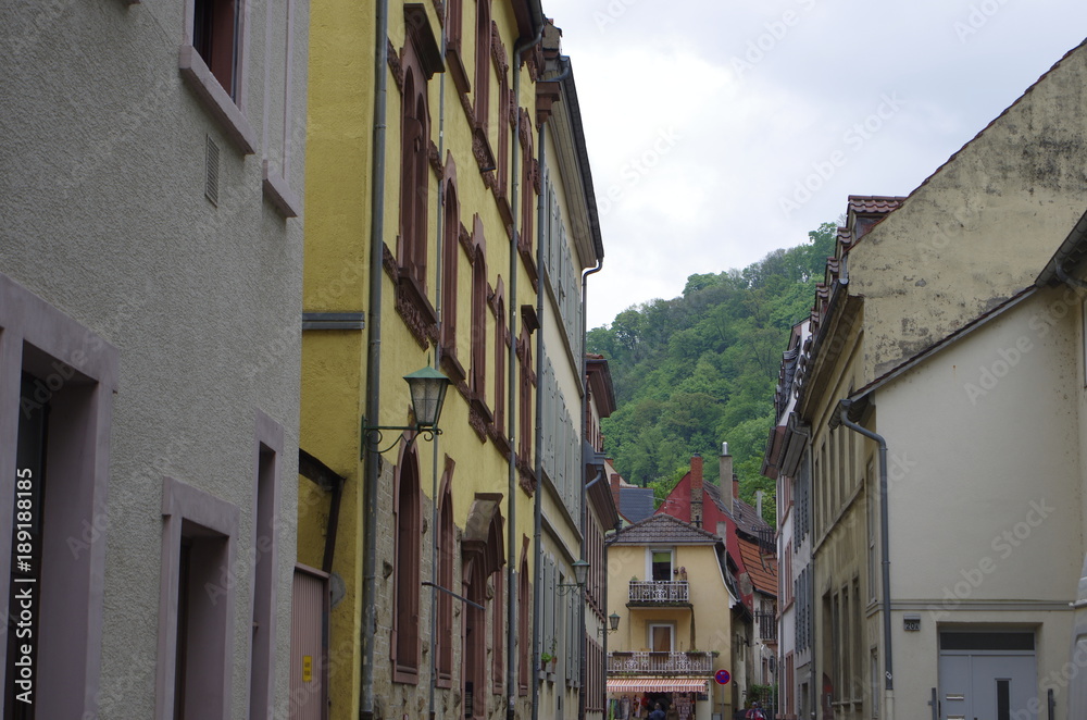 Heidelberg  ハイデルベルクの風景